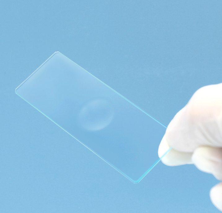 Single Concave Microscope Slides