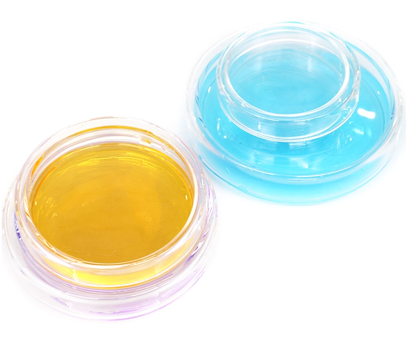 Glass Petri Dish